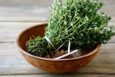 Beneficios y propiedades del tomillo para nuestra salud