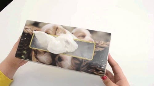 bolsas-pañuelos