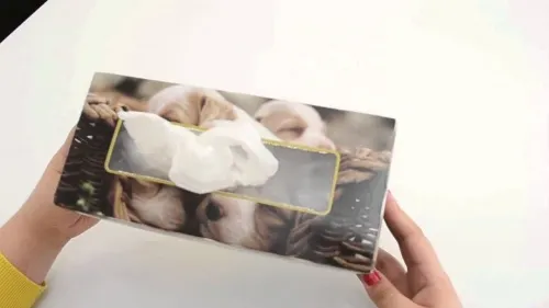 bolsas-pañuelos