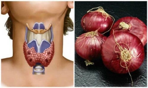 ¿Por qué deberías dormir con un cataplasma de cebolla en el cuello? Descubre la razón