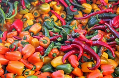 Alimentos que las mujeres delgadas comen siempre