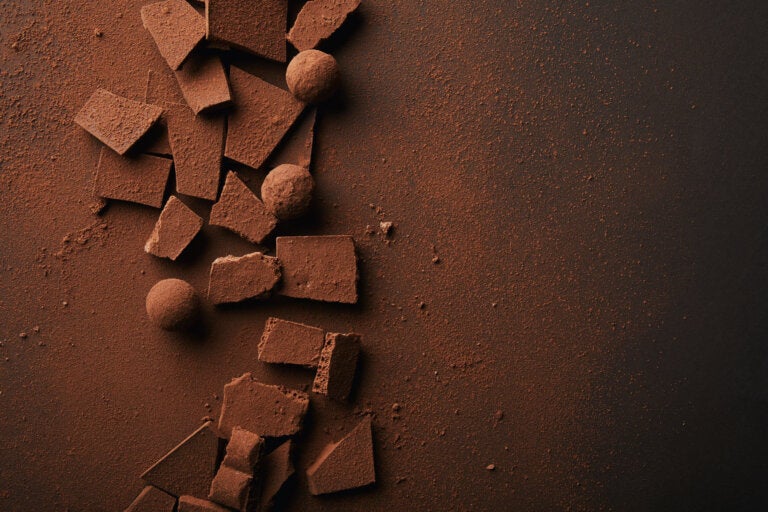 11 increíbles beneficios del cacao amargo