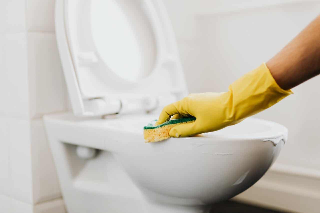 Reinigung der Toilette - Schwamm