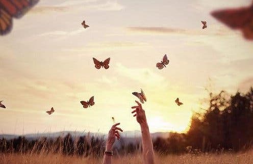 Manos alcanzando mariposas