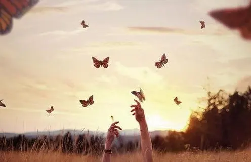 Manos alcanzando mariposas
