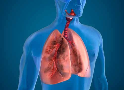 10 ingredientes naturales que purifican los pulmones de un fumador