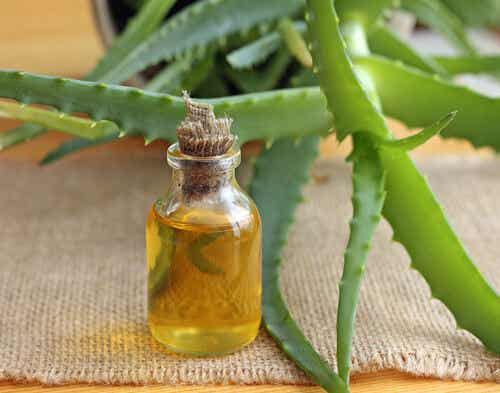 aceite de oliva y aloe vera para la dermatitis del pañal