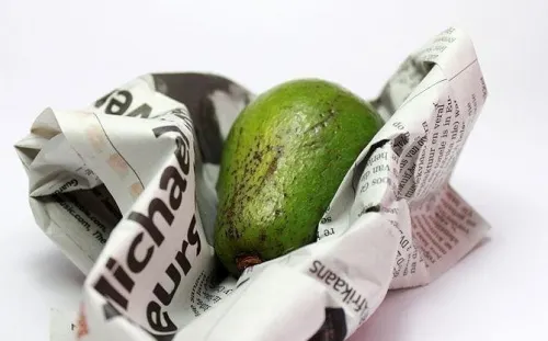 madurar un aguacate en periodico