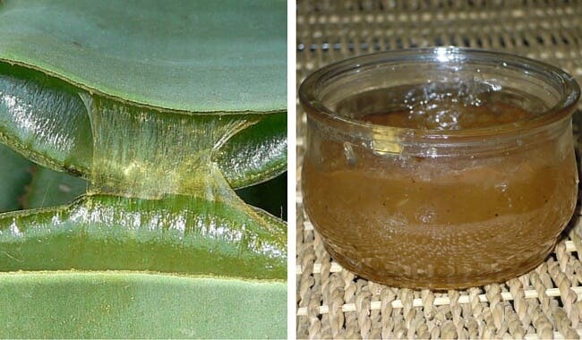 Cómo preparar una saludable mermelada de aloe vera