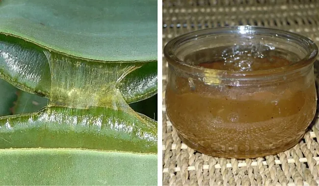 Cómo preparar una saludable mermelada de aloe vera