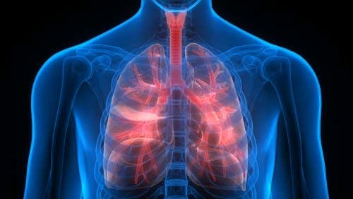 tromboembolia pulmonar