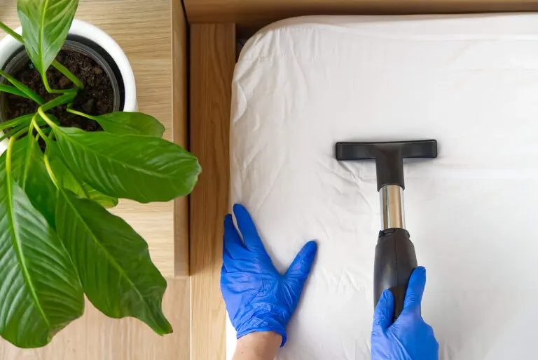 ¿Sabes cuántos ácaros habitan en tu cama? Descubre cómo eliminarlos por completo