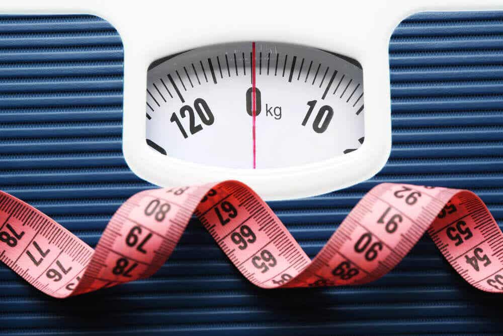 Balanza para determina peso de grasa y músculo.