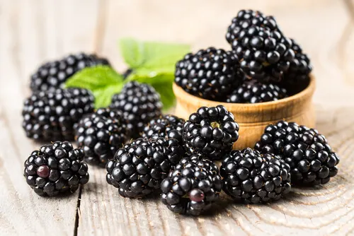 Moras y hojas verdes.