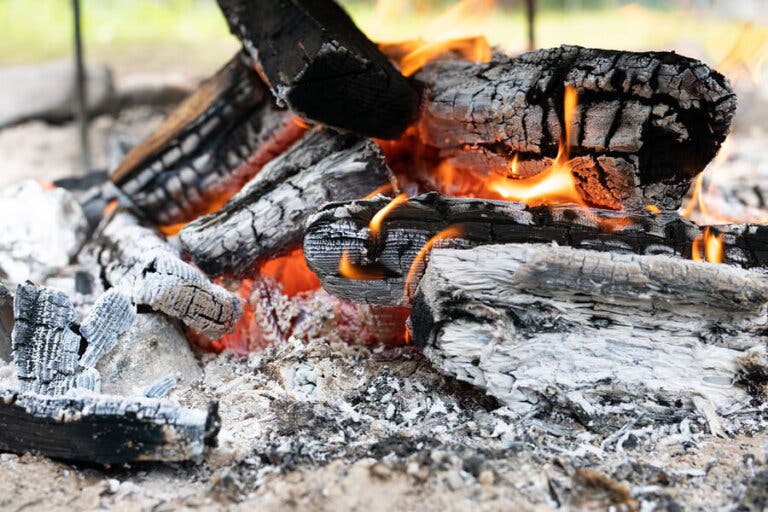 8 interesantes usos de la ceniza de madera