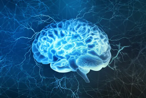 Cerebro iluminado