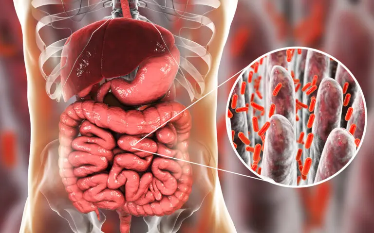 Cómo repoblar la flora intestinal naturalmente