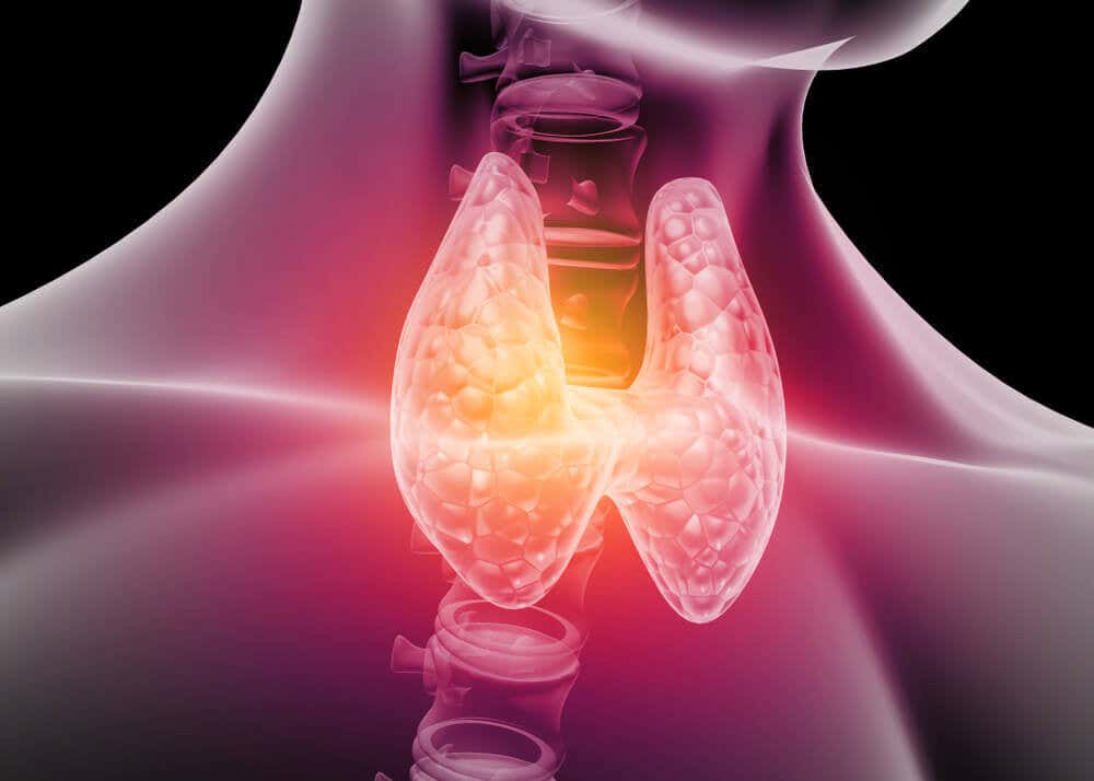 Is it possible to live without a thyroid?