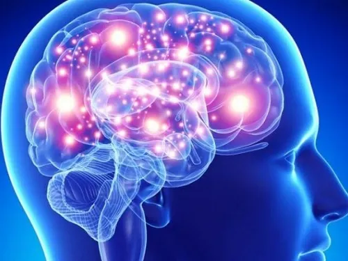 hierbas y especias para tu cerebro