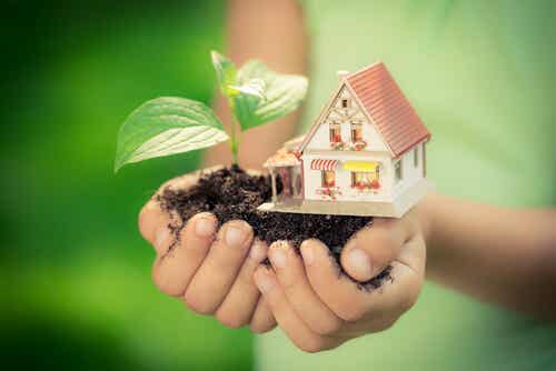 7 medidas ecológicas que puedes implantar en tu hogar