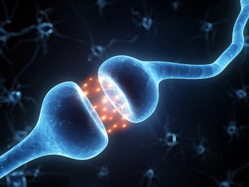 neuronas en la enfermedad de Parkinson