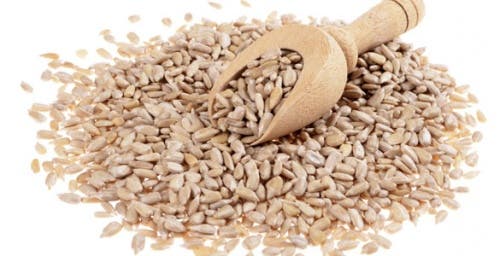 graines de tournesol