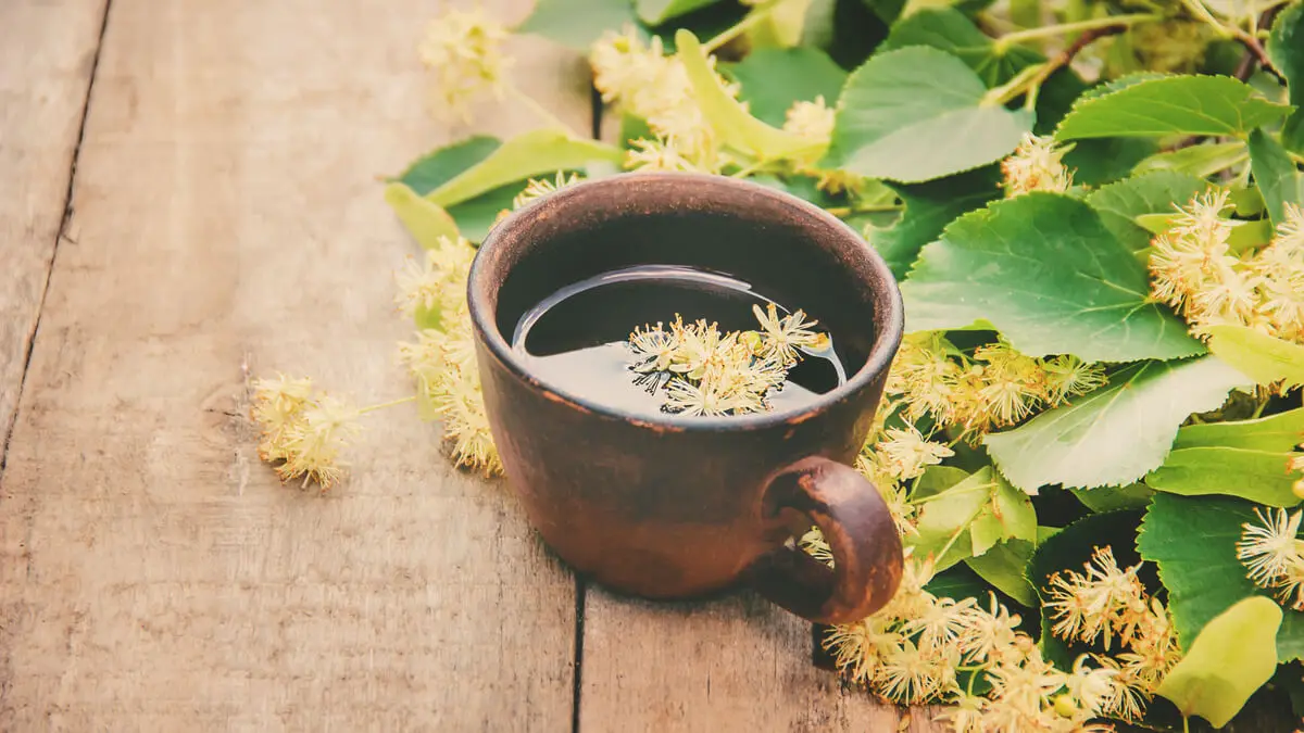 Infusión de tila o tilo.