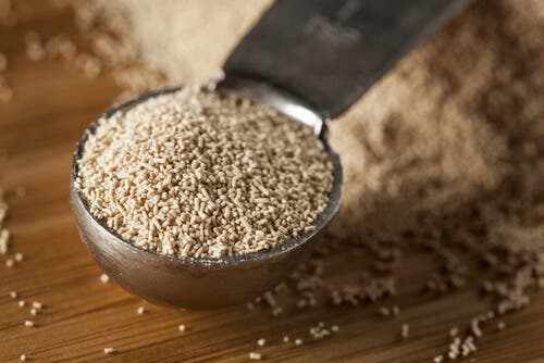 5 razones espectaculares por las que incluir levadura de cerveza en tu desayuno