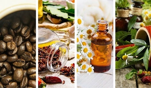 6 preparados naturales para deshacerte del mal olor en tu hogar