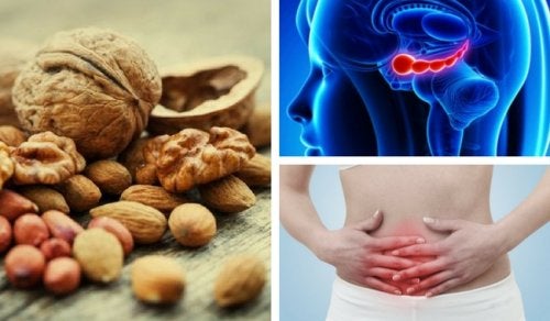 7 beneficios de las nueces que posiblemente no conocías