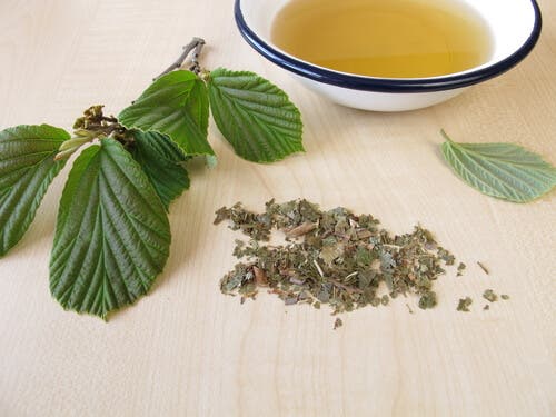 Agua de hamamelis