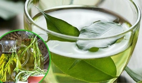Esto es lo que logras en tu cuerpo al echar una simple gota de aceite de orégano en el té