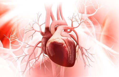 Beneficios de tomar chía con jugo de limón: mejora tu salud cardiovascular