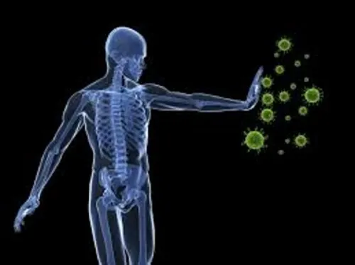 bifidus-sistema-inmunitario