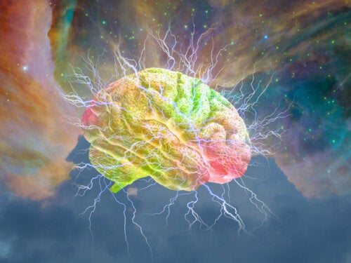Se descubren 97 zonas del cerebro que no se conocían hasta ahora