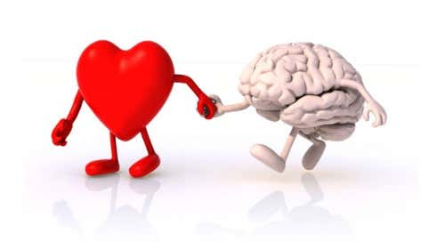 corazón-y-cerebro