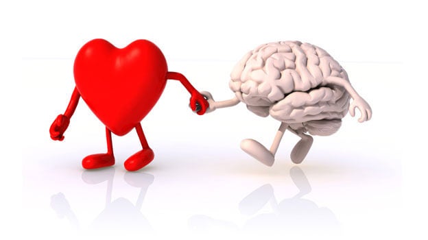corazón y cerebro