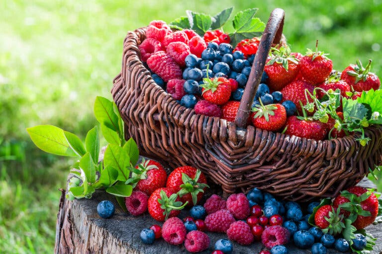 10 alimentos que te ayudan a detener el crecimiento de la cándida