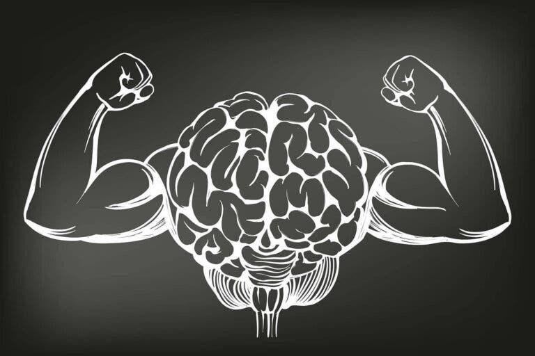 Los 8 mejores ejercicios para entrenar y aumentar la potencia cerebral