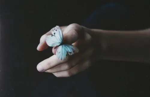 mariposa, hemisferio derecho del cerebro