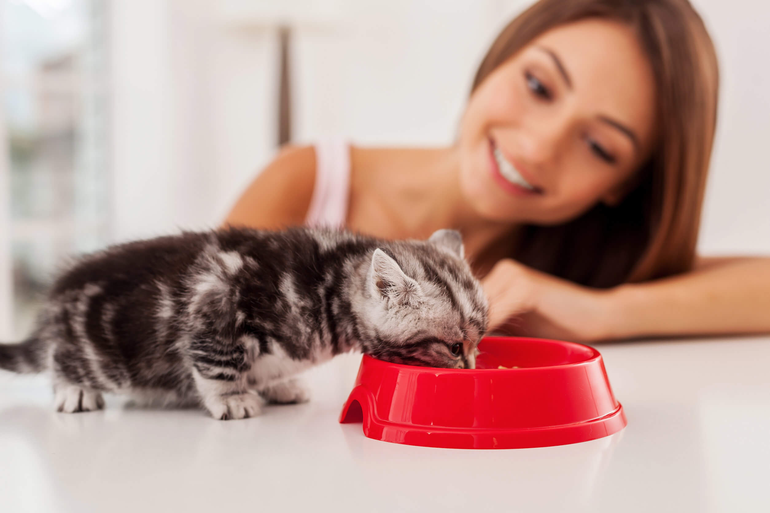 A woman feeding a kitten: Cat therapy