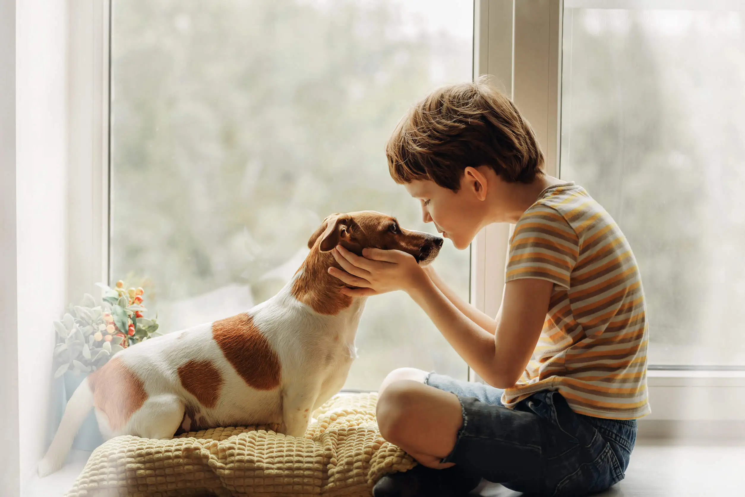 Perros en las películas.