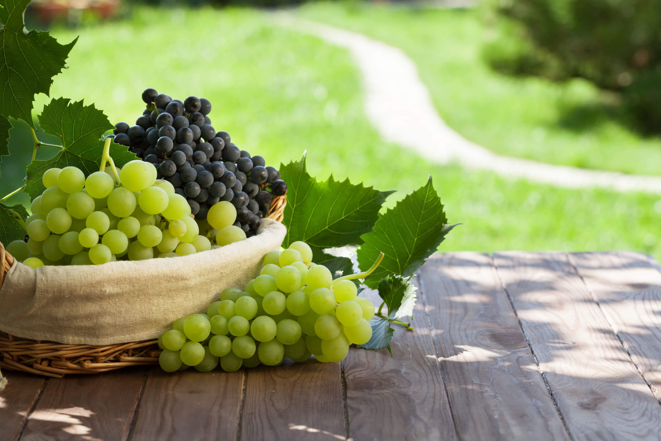 Descubre las 5 frutas con más propiedades antioxidantes