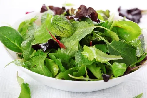 Ensaladas de vegetales