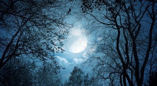 5 formas en que la luna afecta tu salud