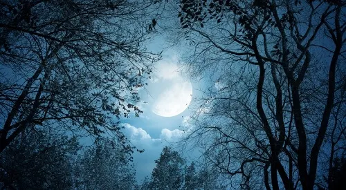 5 formas en que la luna afecta tu salud