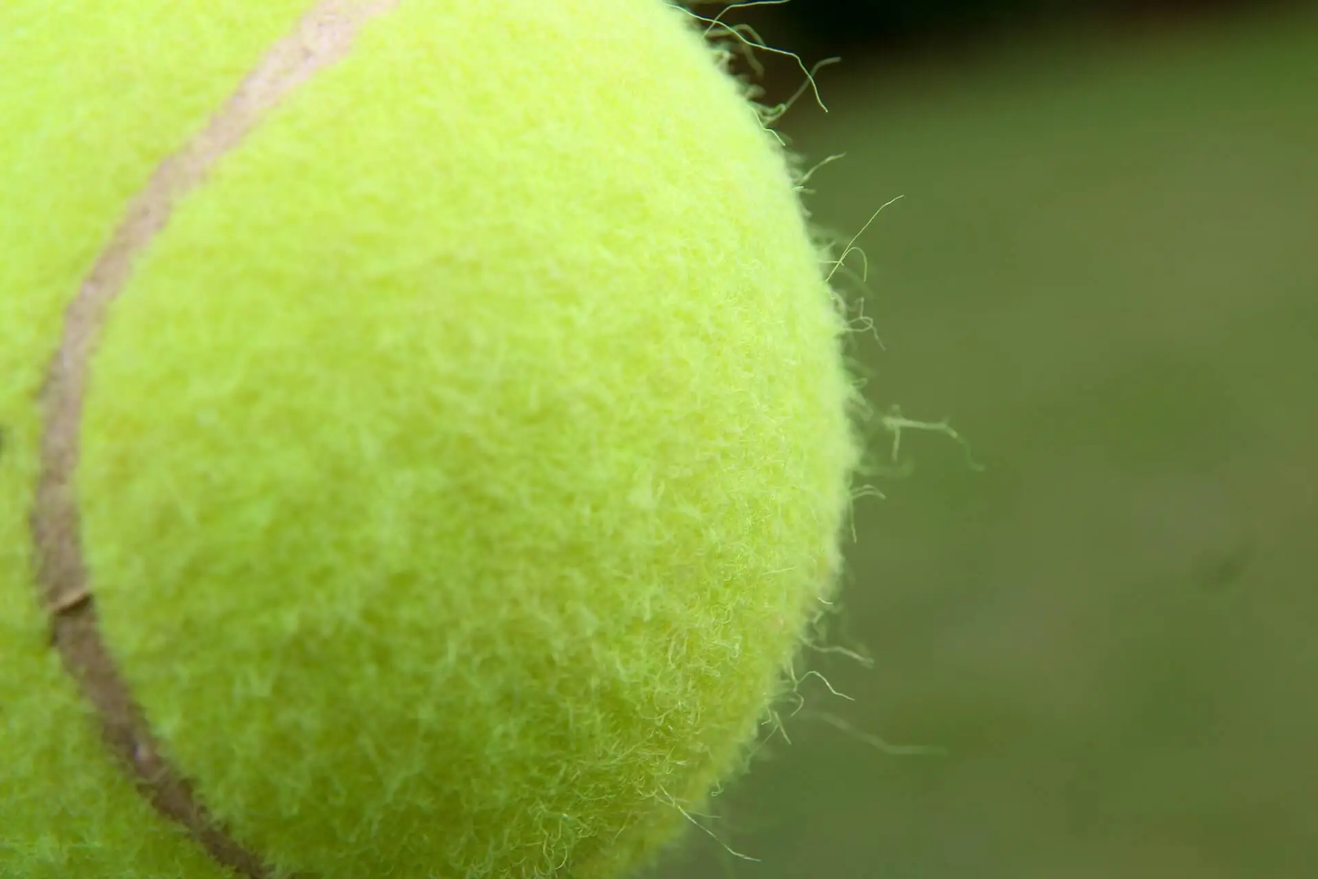 Pelota de tenis.