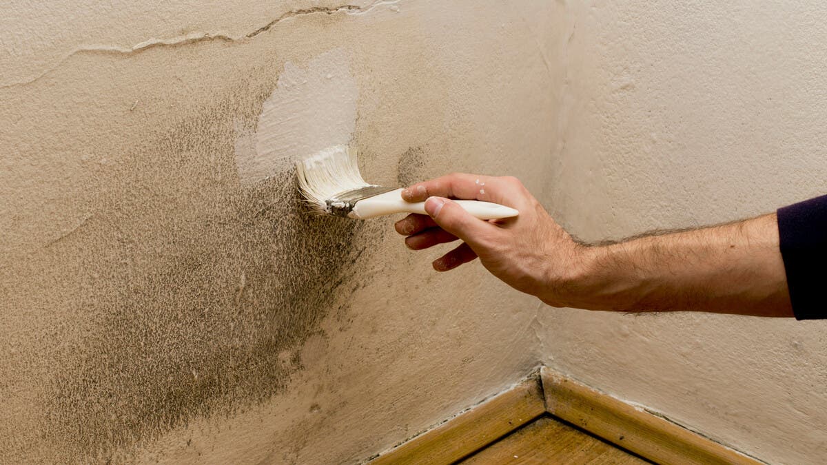 Pintar las paredes con humedad.