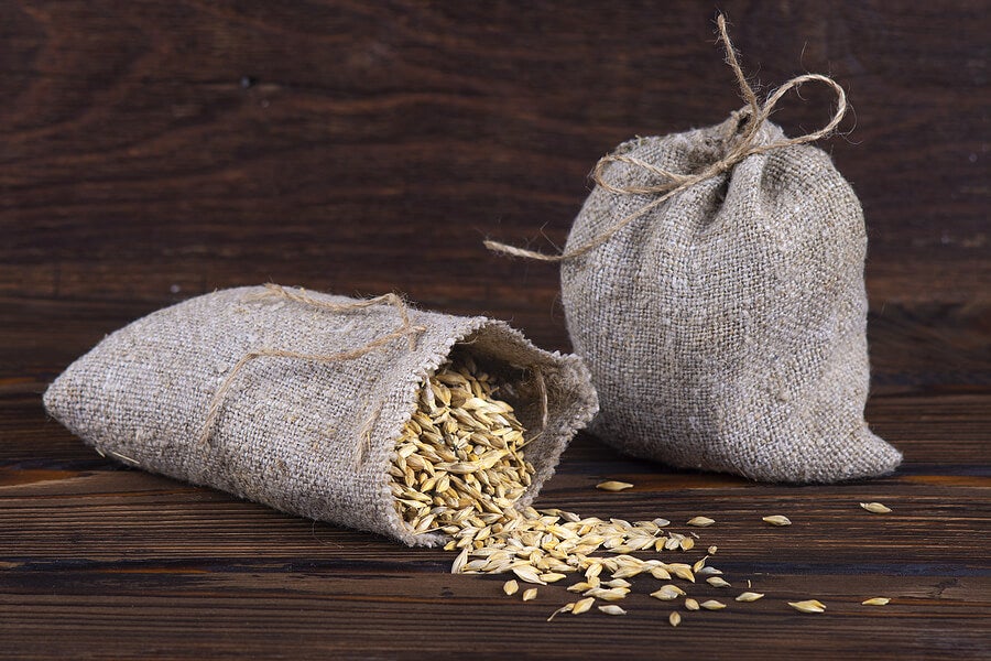 capoc límite Memoria Cómo hacer saquitos de semillas para calmar los dolores - Mejor con Salud