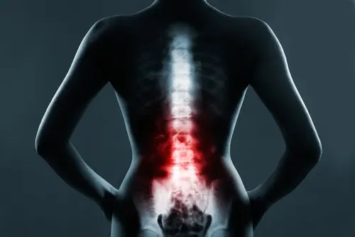Zona dorsal